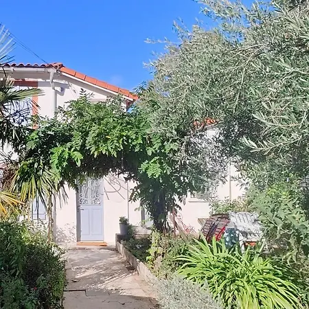 Studio Avec Jardin A 10 Mn A Pied Du Centre Ville Toulouse Exterior foto